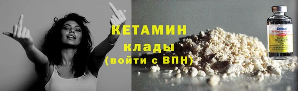 прущие грибы Абаза