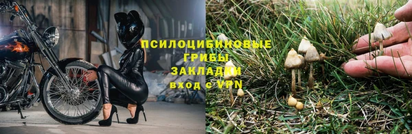 героин Алзамай
